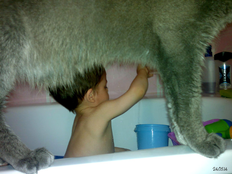 ФотоДневник. 24 мая 2014