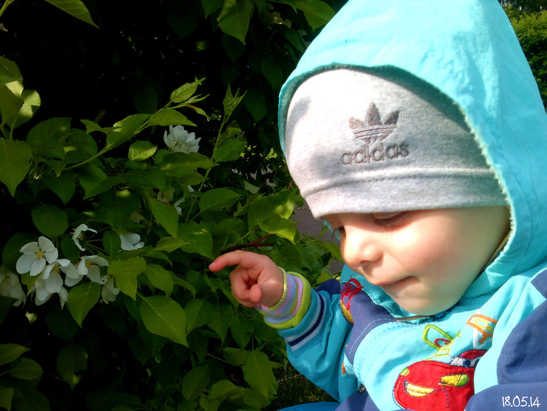 ФотоДневник. 18 мая 2014