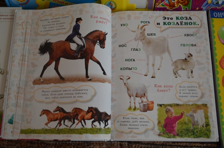 наши новые книги