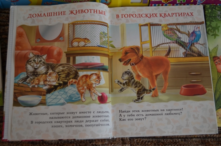 наши новые книги