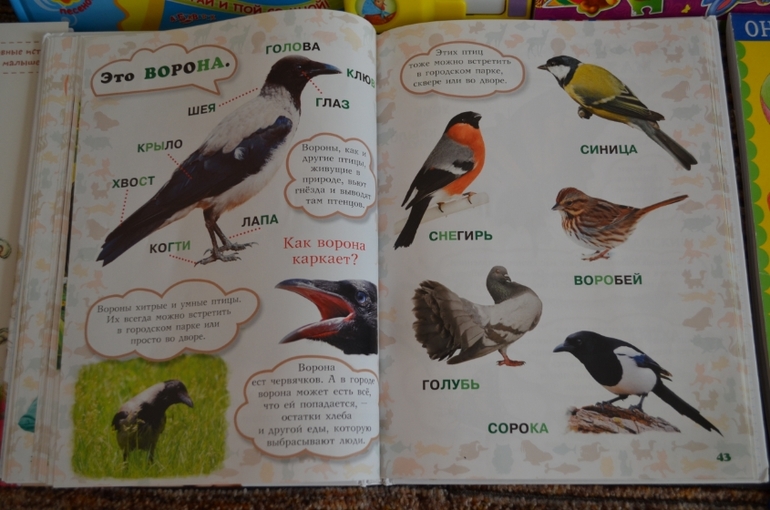 наши новые книги