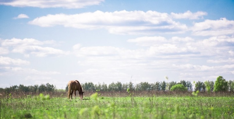 Эпизод второй. Композиция. Правило третей. Попытка 2