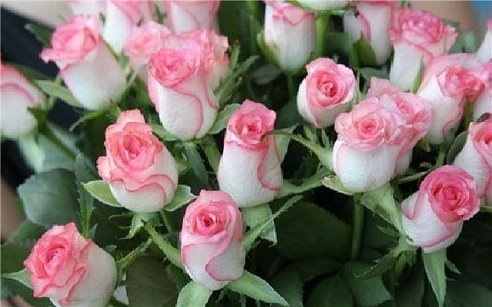 С праздником, девочки!!!