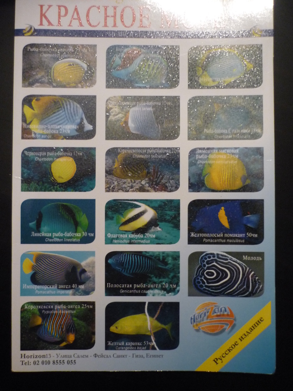 ТН "Море" День второй.