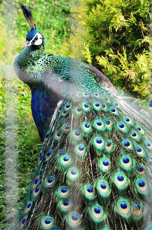 ВОРОБЬИный день :)