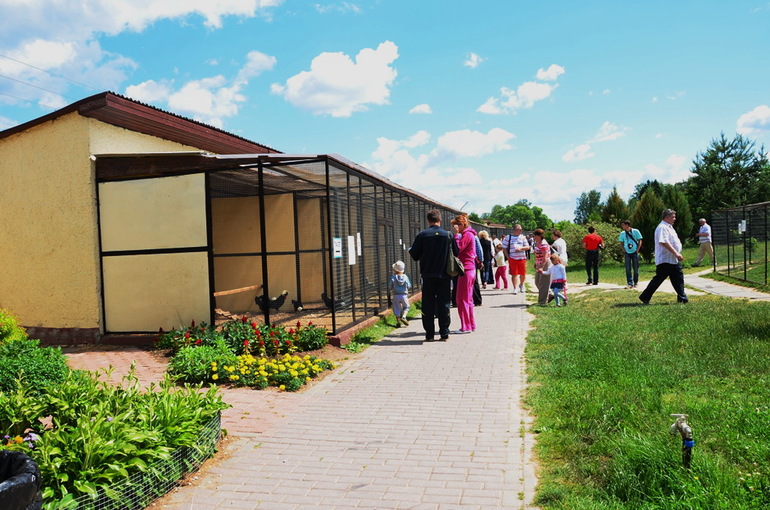 ВОРОБЬИный день :)