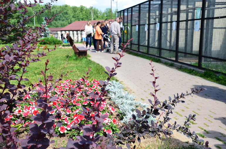 ВОРОБЬИный день :)