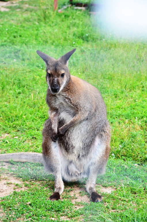 ВОРОБЬИный день :)