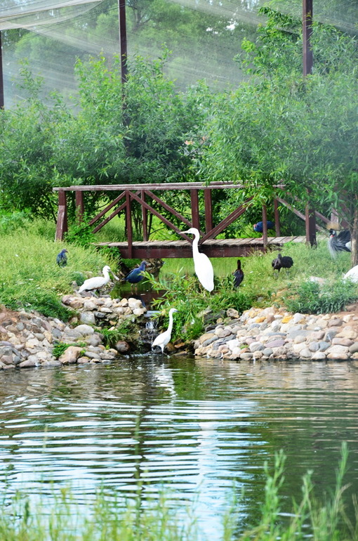 ВОРОБЬИный день :)