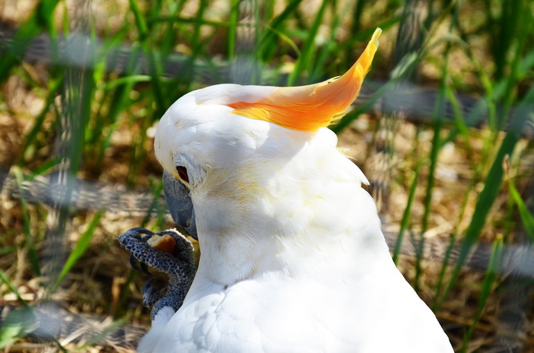 ВОРОБЬИный день :)