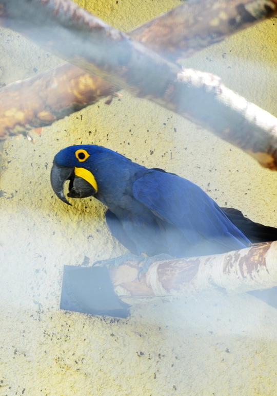 ВОРОБЬИный день :)