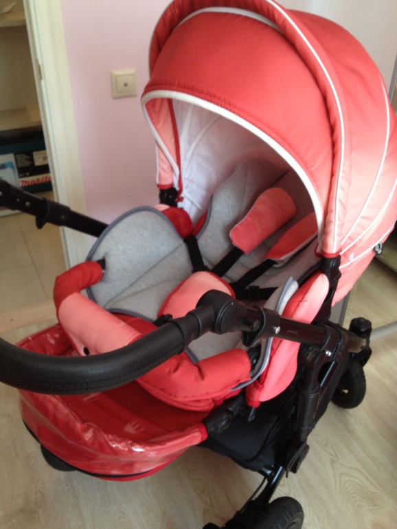 Продаю свою любимицу, красавицу Tutis Zippy Pia цвет Rubin.