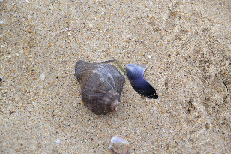 Рождественская Одесса