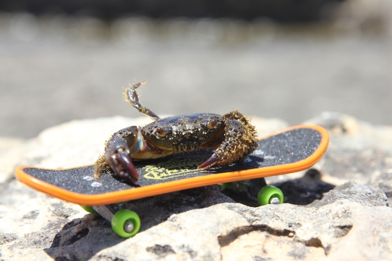 Ванюшка ждет не дождется))