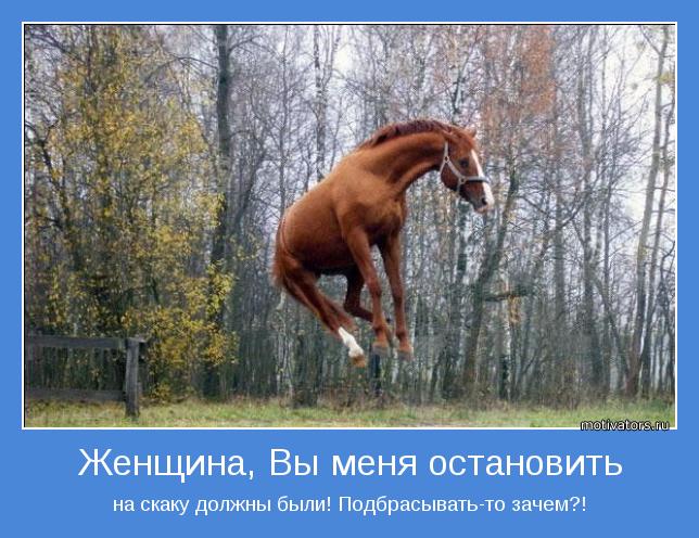 ОЛИМПИЙСКИЙ МАРАФОН - 20 день. КОННЫЙ СПОРТ