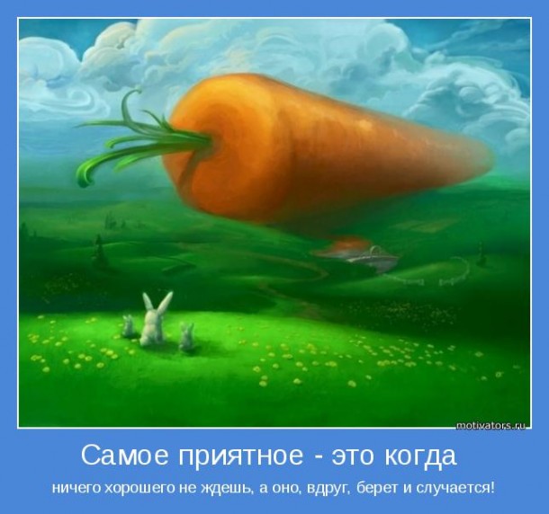 30 дней вокруг света – Глава 19 - Отчеты вовремя!!!