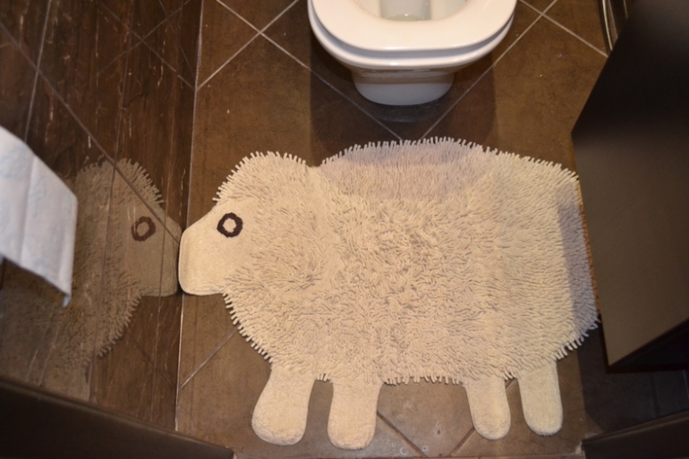 Туалет -моё новоселье!!