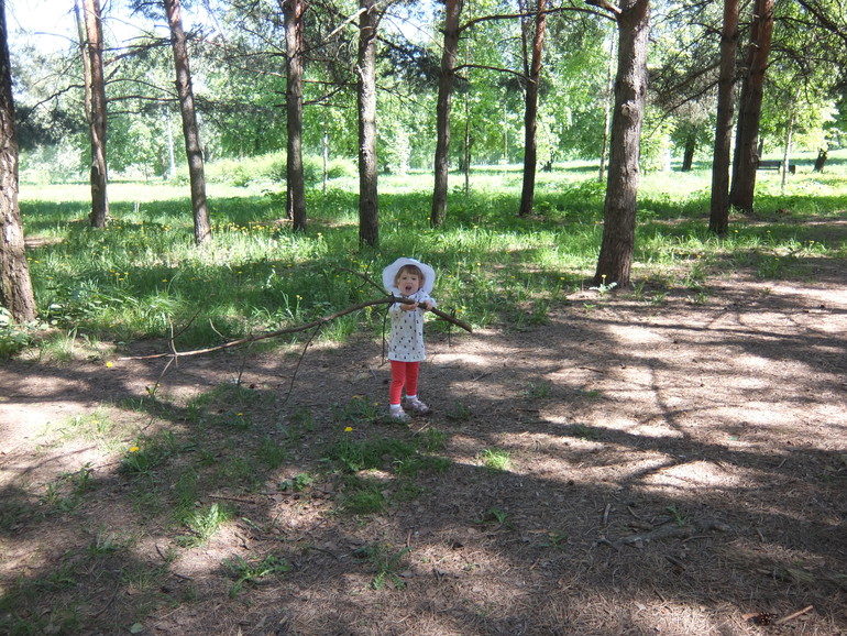 Чем заняться в лесу... Цветы, палки, кухня, книги...