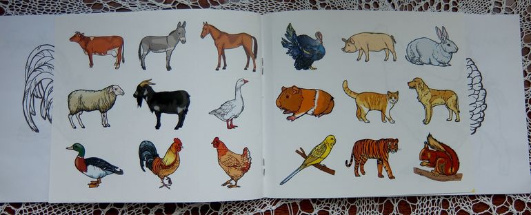 В дорогу... 2,5 года