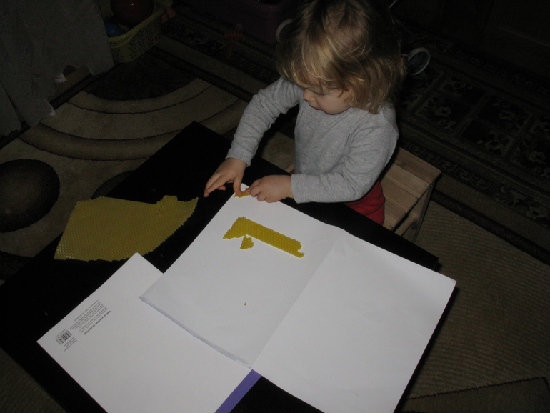 Лепка. Животные.