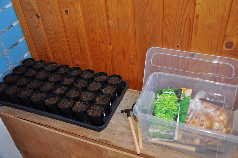 Весна на подоконнике- 2.