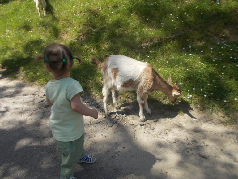 Чудесная ББ встреча)))) 24.05.2014 Шевченковский Гай.