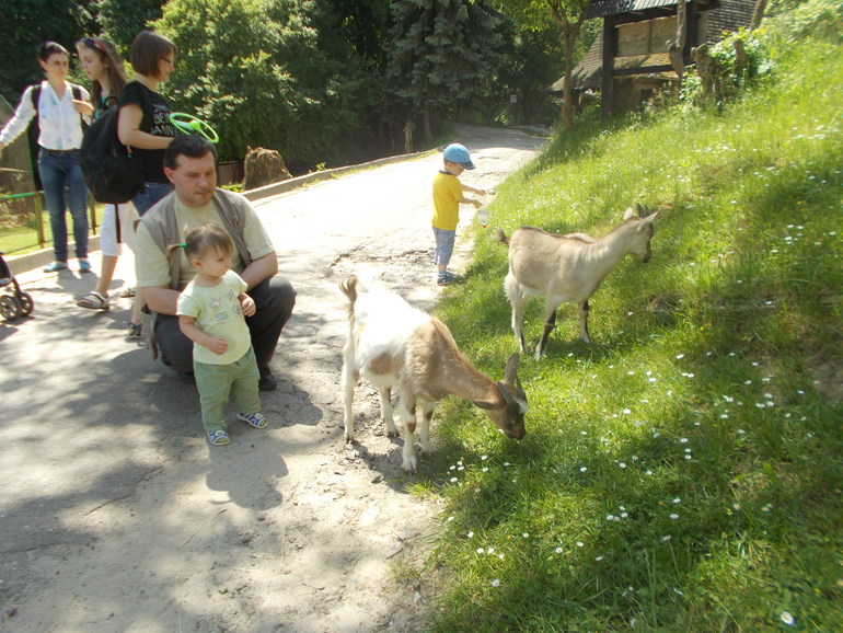 Чудесная ББ встреча)))) 24.05.2014 Шевченковский Гай.