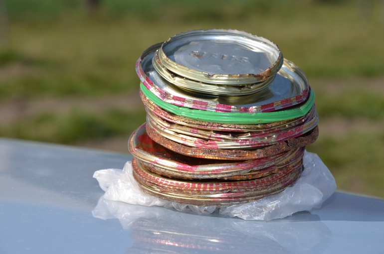 Помочь яблоням без "химии"