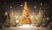 С новым годом!!!