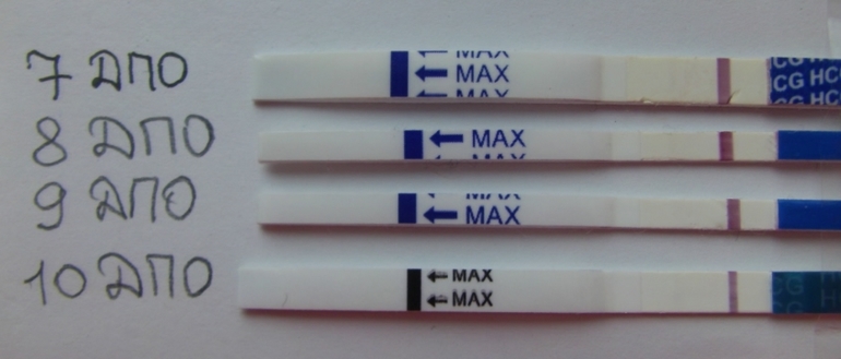 У меня уже голова кругом! Тесты