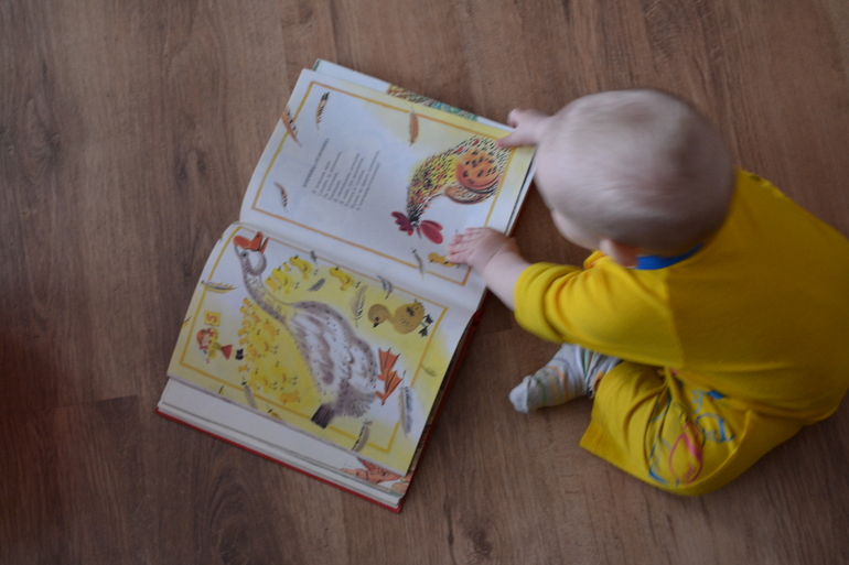 Отчет ТН "Лукошко сказок " , "Птичий двор", день 2.