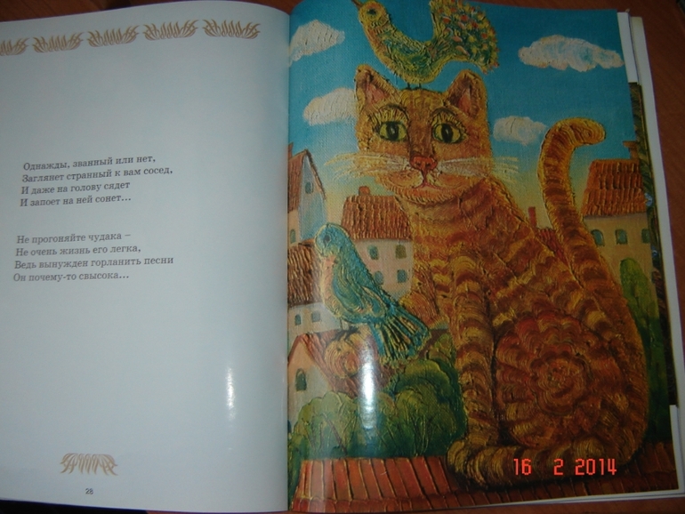 О кошках и котах