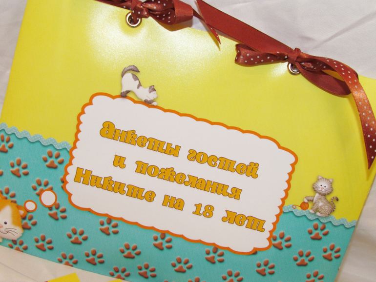 Набор в кошачьем стиле на Первый День Рождения Никиты!)