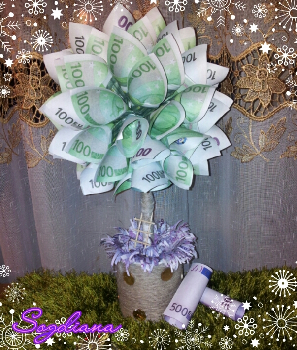 Денежное дерево.