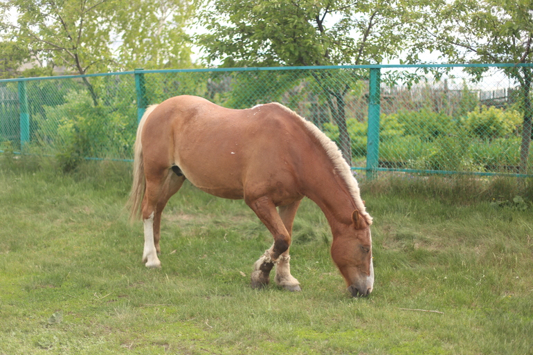 Были сегодня в деревне)
