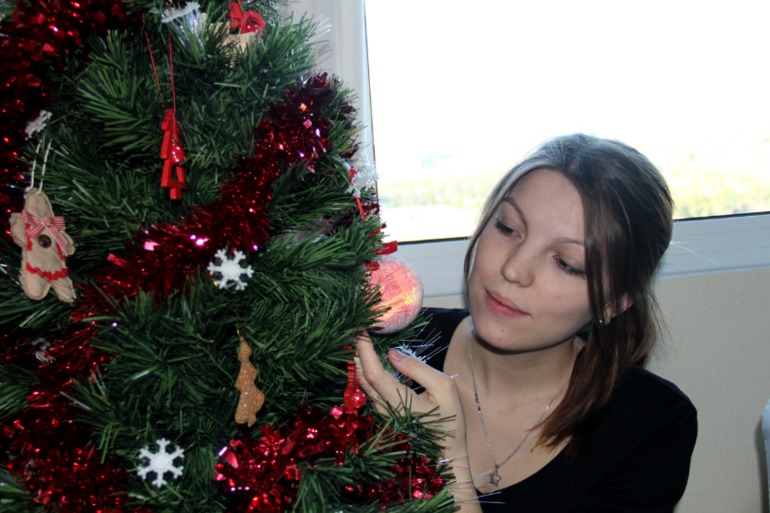 Встречаем Новый Год 2014