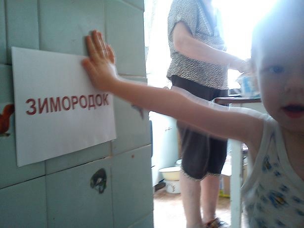 Перелетные птицы День 5.