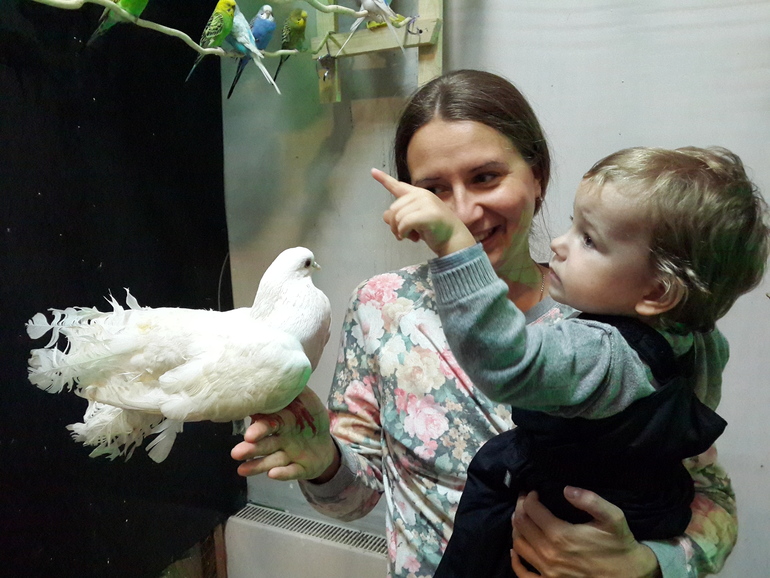 контактный зоопарк