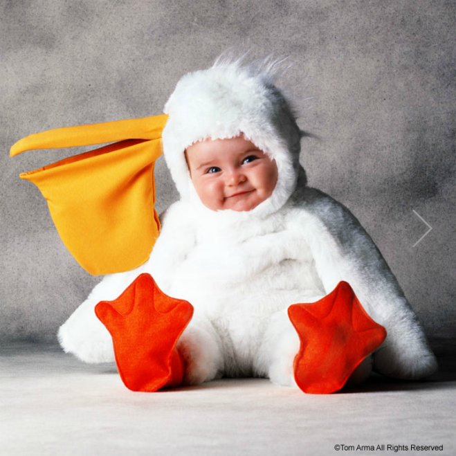 Пожалуйста, спасите животных