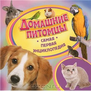 самая первая энциклопедия