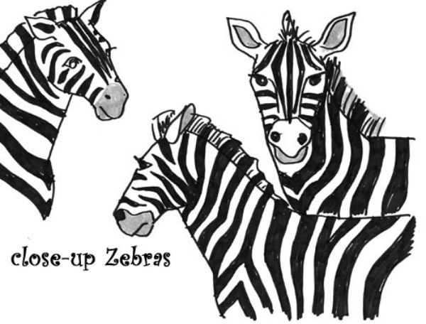 РИСУЕМ ЗЕБРУ