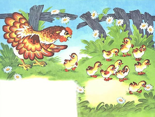 КУРОЧКА РЯБА И ДЕСЯТЬ УТЯТ