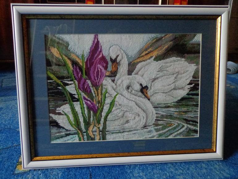 Оформила лебедей)