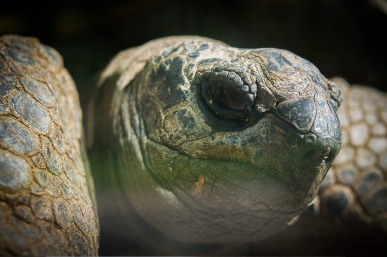 Поход в Московский зоопарк
