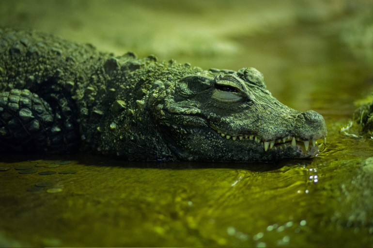 Поход в Московский зоопарк