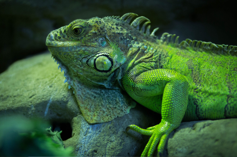 Поход в Московский зоопарк