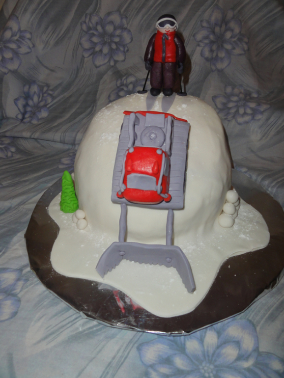 Мои фото-торты и торты для мужчин