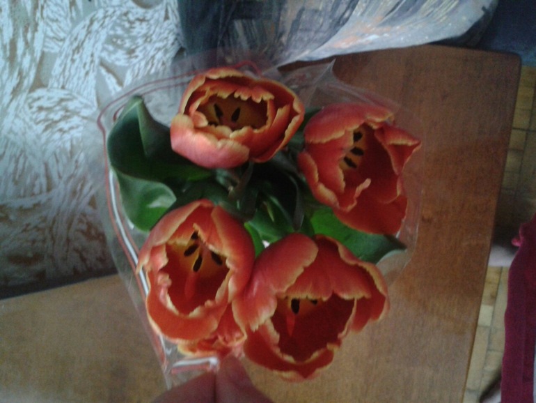 мой ДР и подарок мужа