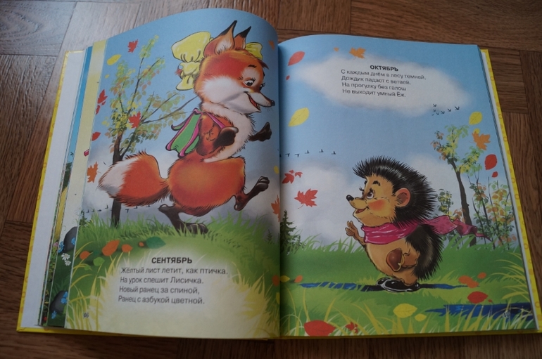 Наши новинки