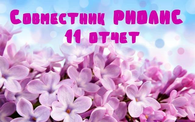 Совместник РИОЛИС. Одиннадцатый отчетный!